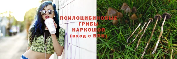 прущая мука Краснослободск