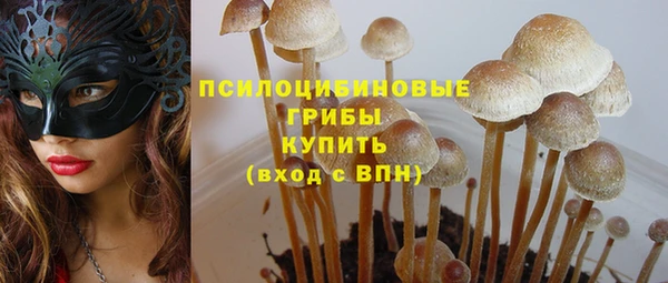 индика Красноперекопск