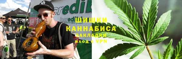 индика Красноперекопск