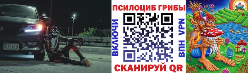 Галлюциногенные грибы мицелий  Юрьев-Польский 